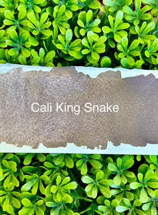 Cali King Snake | Handmade Watercolors | Handmade Paint | Watercolors | Watercolor | Watercolor Artist