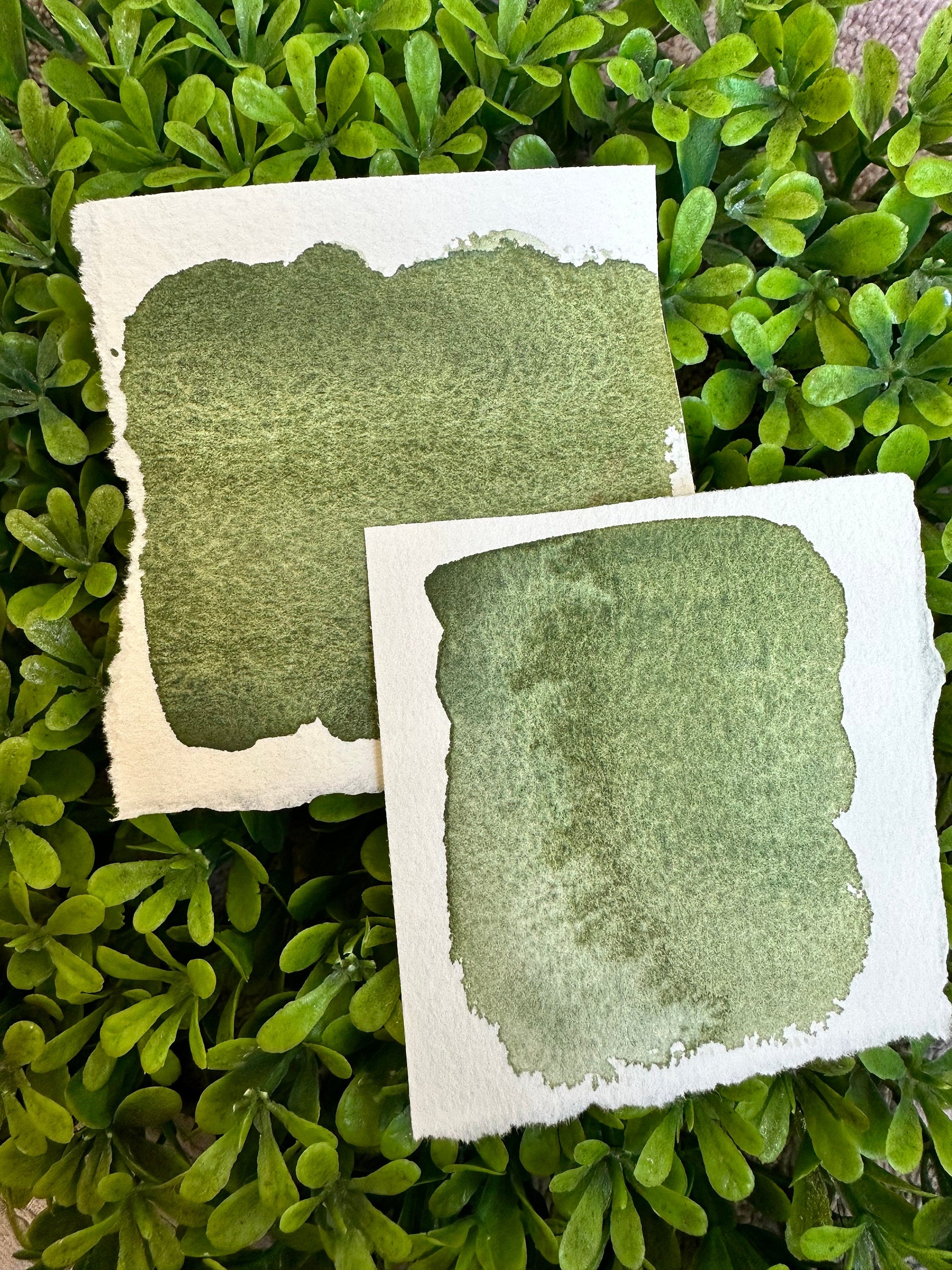 Bushy | Granulation | Handmade Watercolors | Handmade Paint | Watercolors | Watercolor Artist | Granulating Watercolor