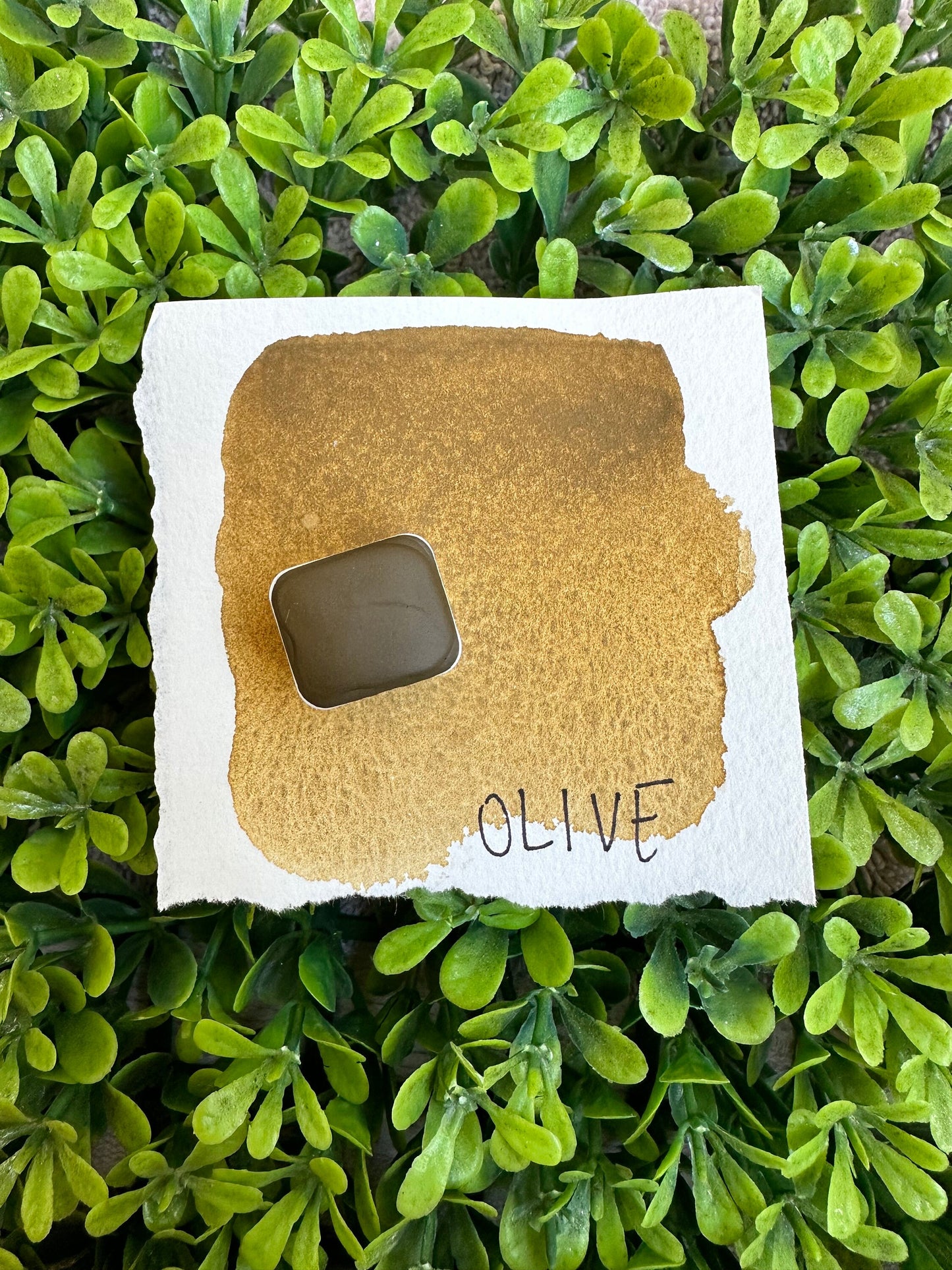 Olive | Granulation | Handmade Watercolors | Handmade Paint | Watercolors | Watercolor Artist | Granulating Watercolor