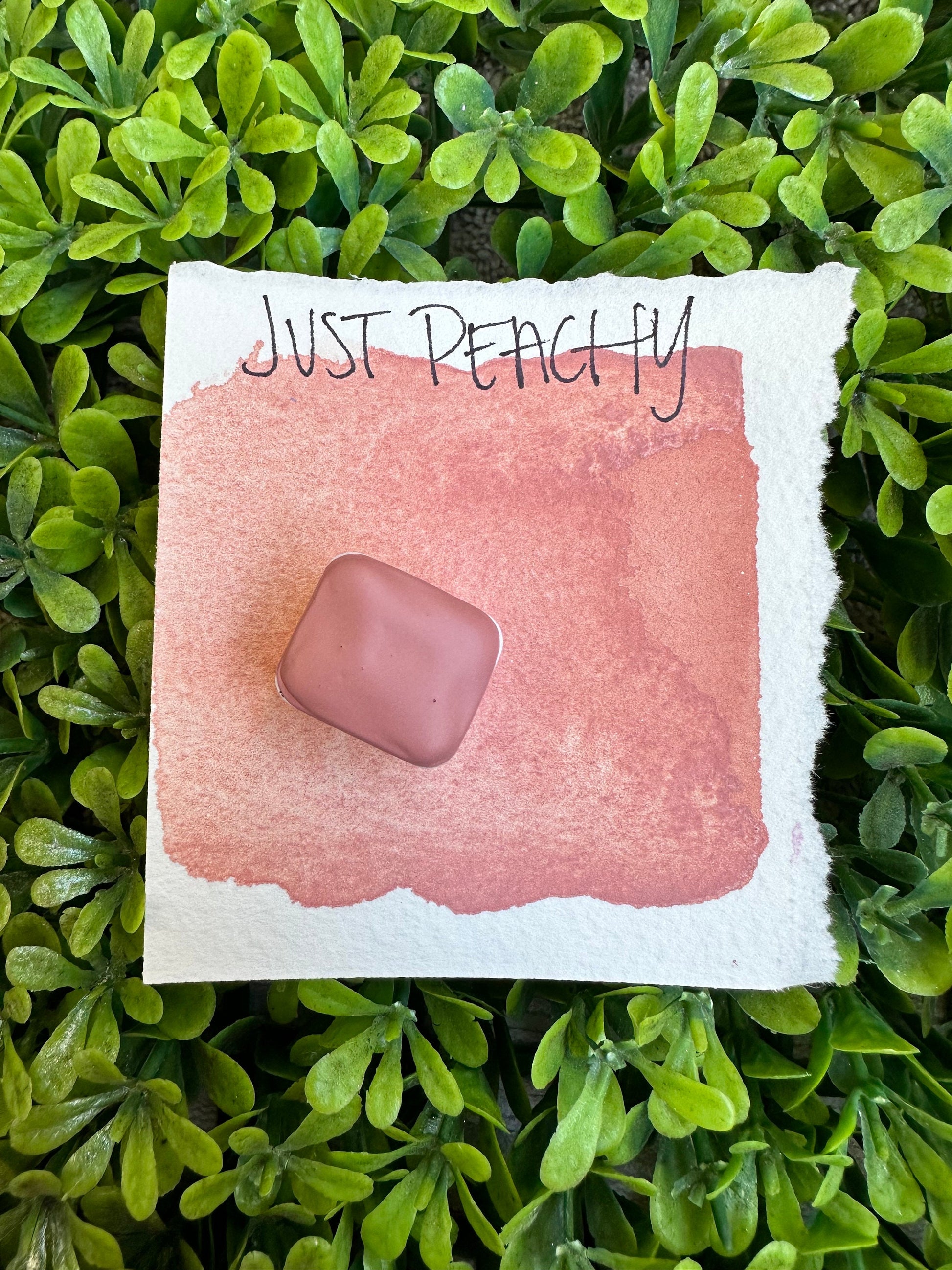 Just Peachy | Handmade Watercolors | Handmade Paint | Watercolors | Watercolor Florals | Boho Series