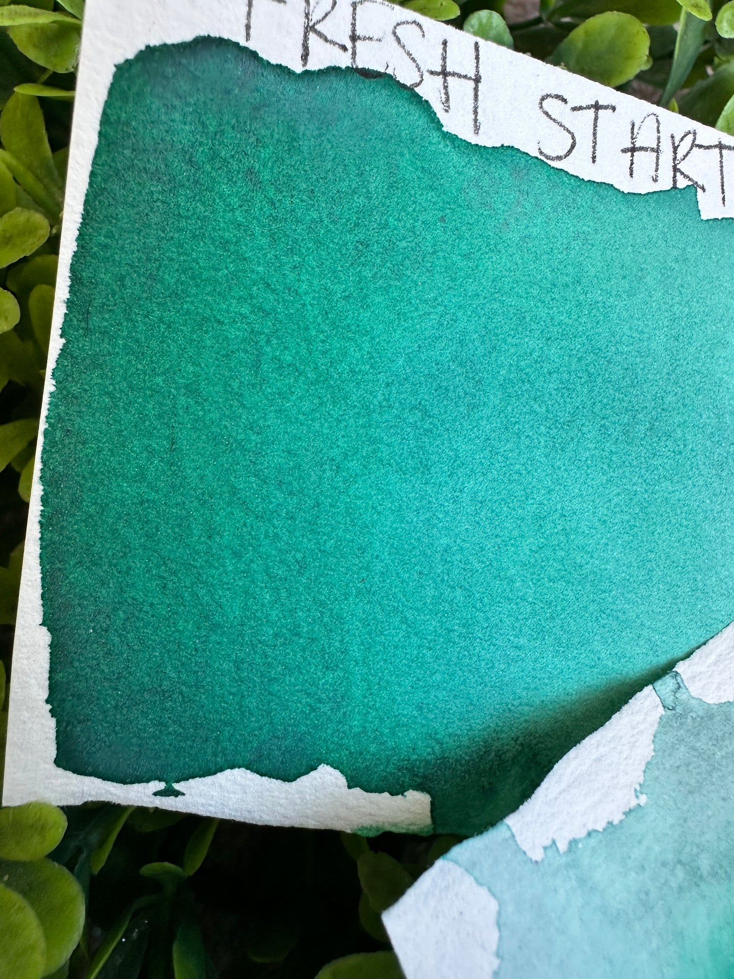 Fresh Start | Granulation | Handmade Watercolors | Handmade Paint | Watercolors | Watercolor Artist | Granulating Watercolor