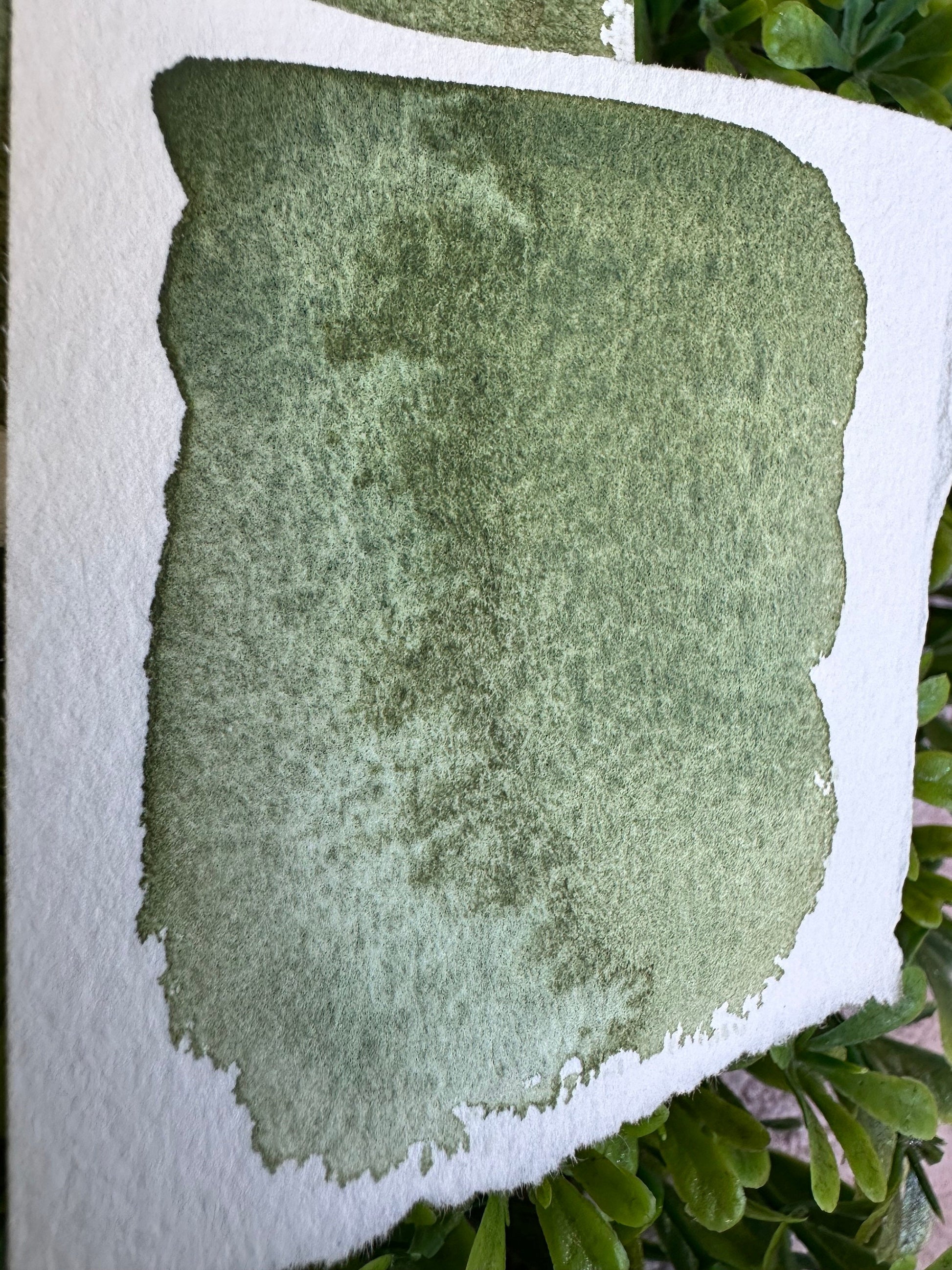 Bushy | Granulation | Handmade Watercolors | Handmade Paint | Watercolors | Watercolor Artist | Granulating Watercolor