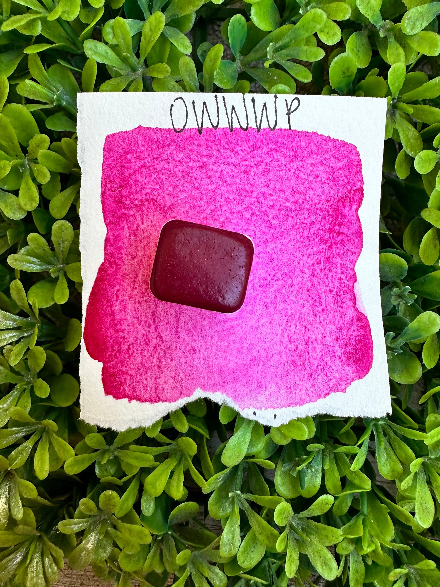 OWWWP | Granulation | Handmade Watercolors | Handmade Paint | Watercolors | Watercolor Artist | Granulating Watercolor