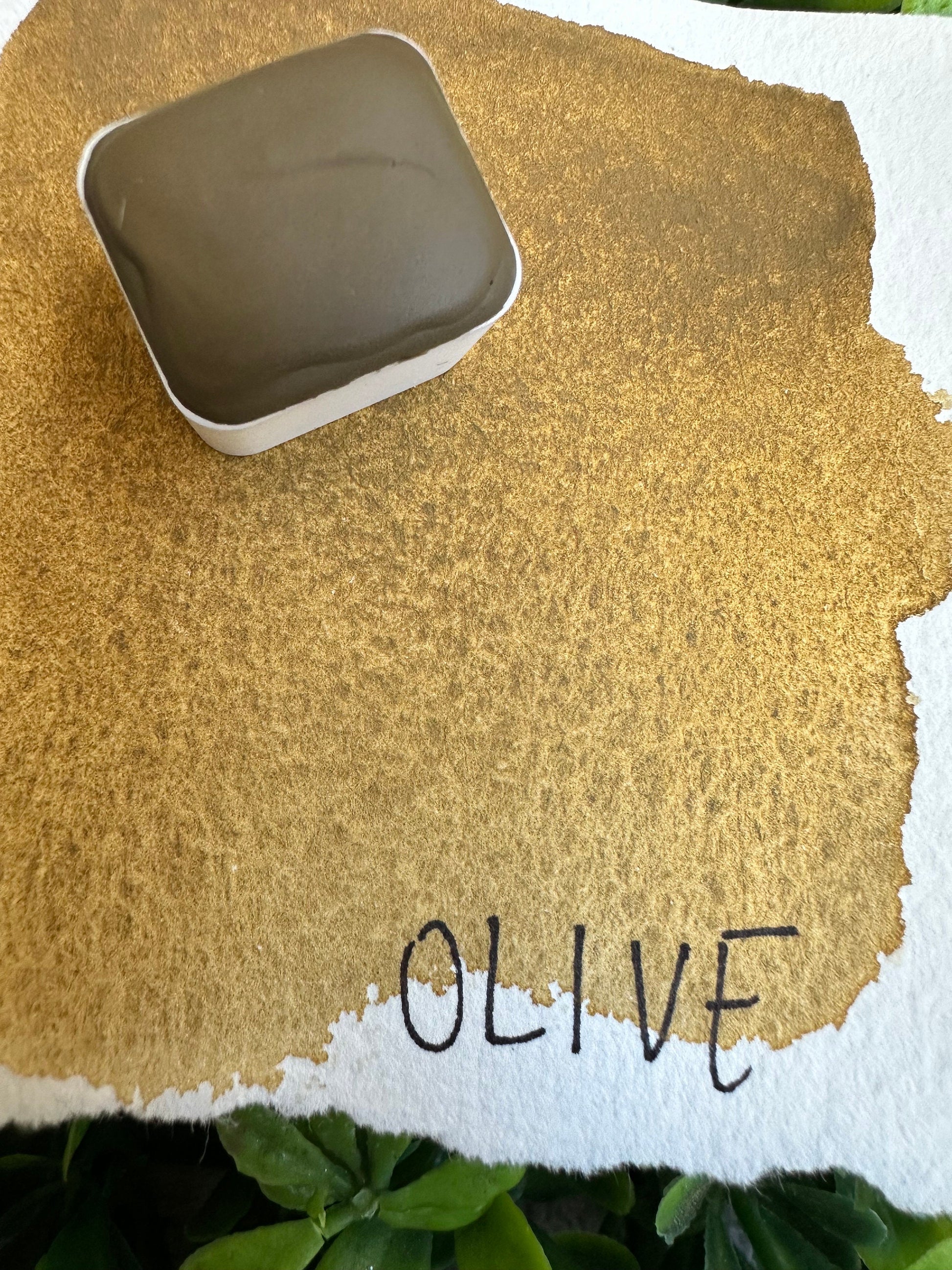 Olive | Granulation | Handmade Watercolors | Handmade Paint | Watercolors | Watercolor Artist | Granulating Watercolor