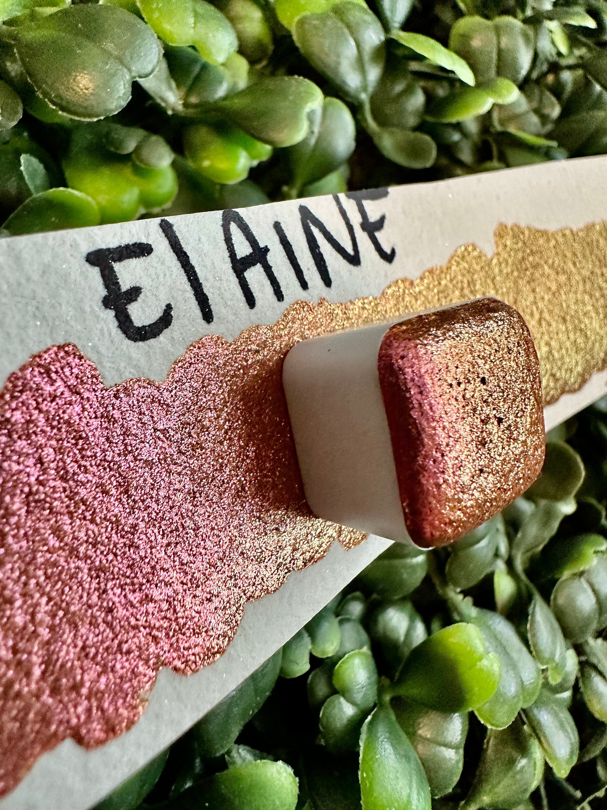Elaine | Handmade Watercolors | Handmade Paint | Calligraphy | Lettering |