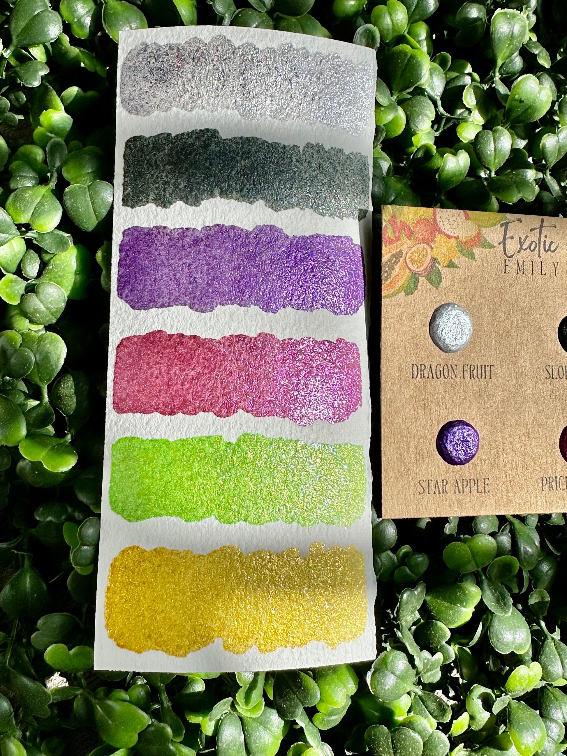 Exotic fruit Series Card | Handmade Watercolors | Handmade Paint | Shimmer Paint | Colorshift | Dot Cards | Sample