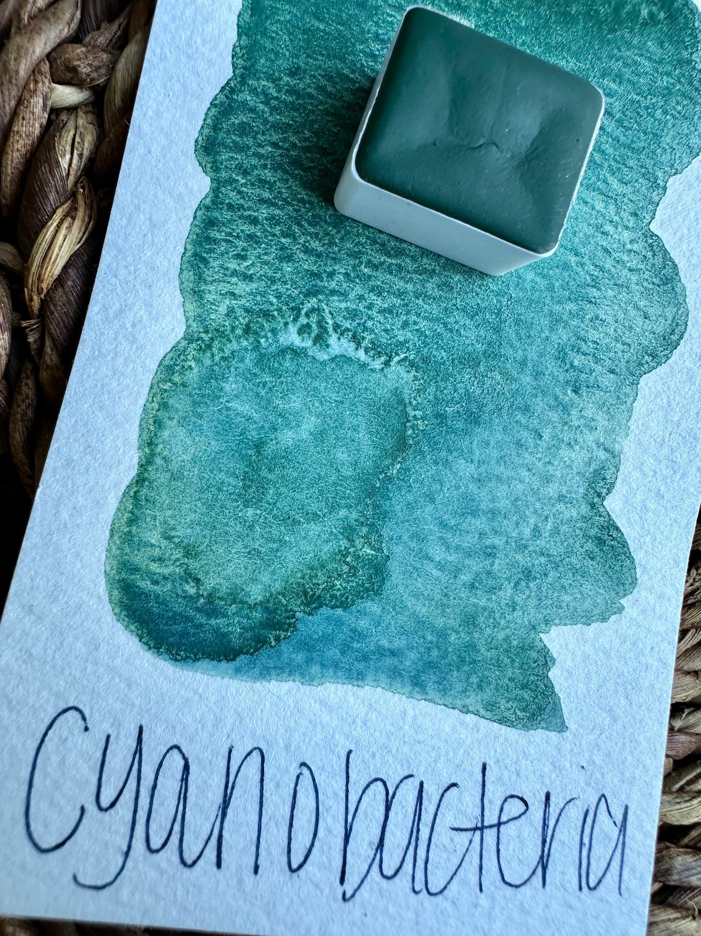 Cyanobacteria | Granulation | Handmade Watercolors | Paint | Watercolors | Watercolor Artist | Granulating Watercolor