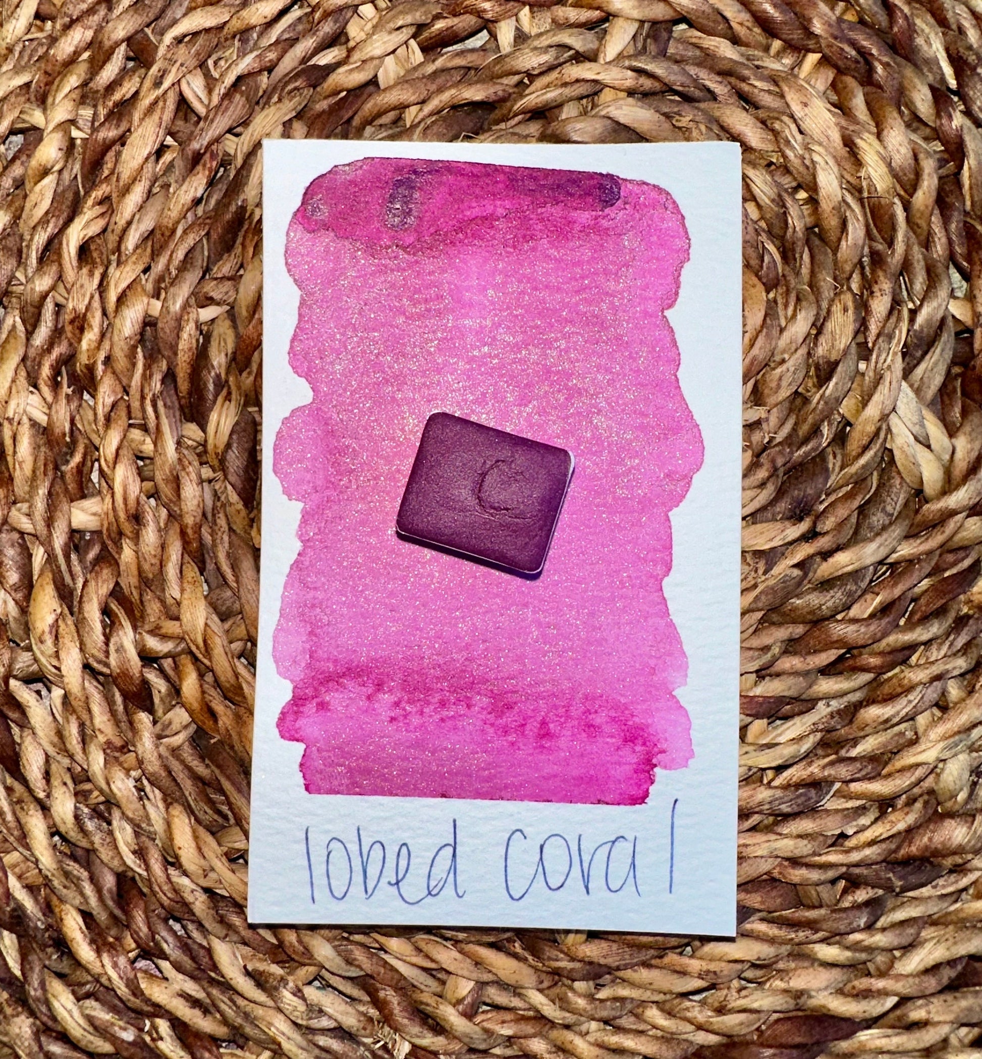 Lobed Coral | SHIMMER Blend | Handmade Watercolors | Handmade Paint | Watercolors | Watercolor | Watercolor Artist
