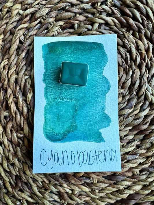 Cyanobacteria | Granulation | Handmade Watercolors | Paint | Watercolors | Watercolor Artist | Granulating Watercolor