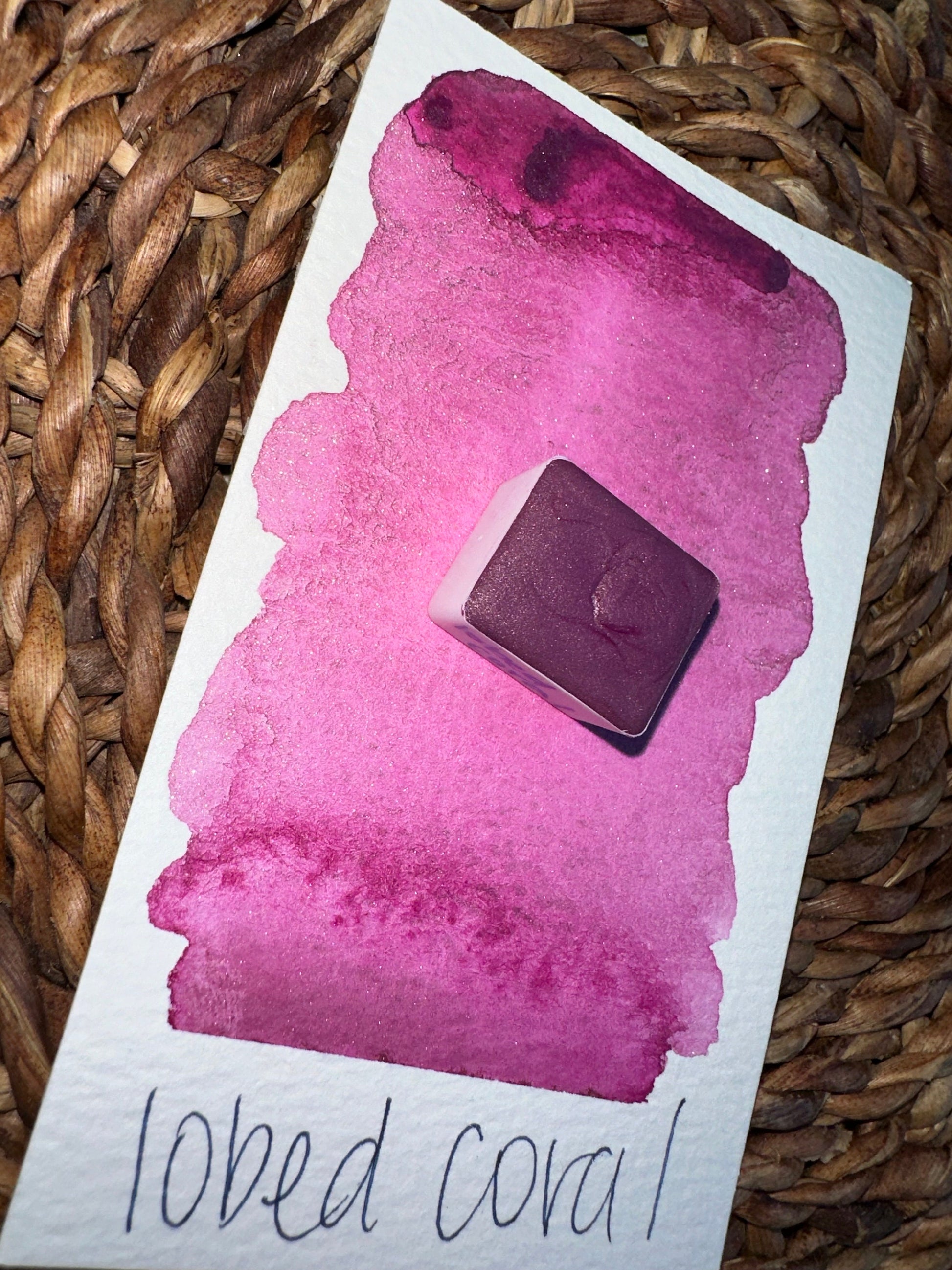Lobed Coral | SHIMMER Blend | Handmade Watercolors | Handmade Paint | Watercolors | Watercolor | Watercolor Artist