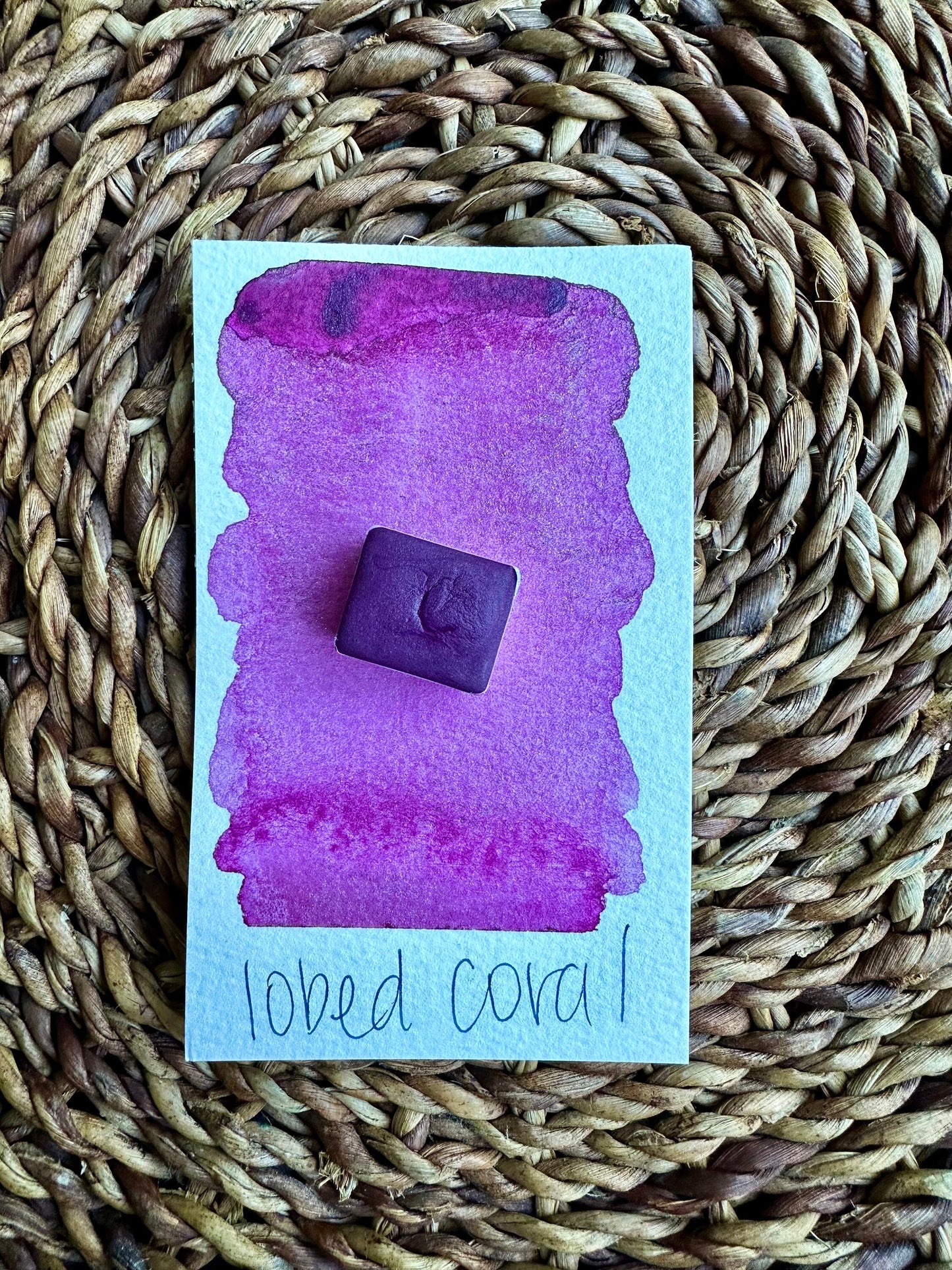 Lobed Coral | SHIMMER Blend | Handmade Watercolors | Handmade Paint | Watercolors | Watercolor | Watercolor Artist