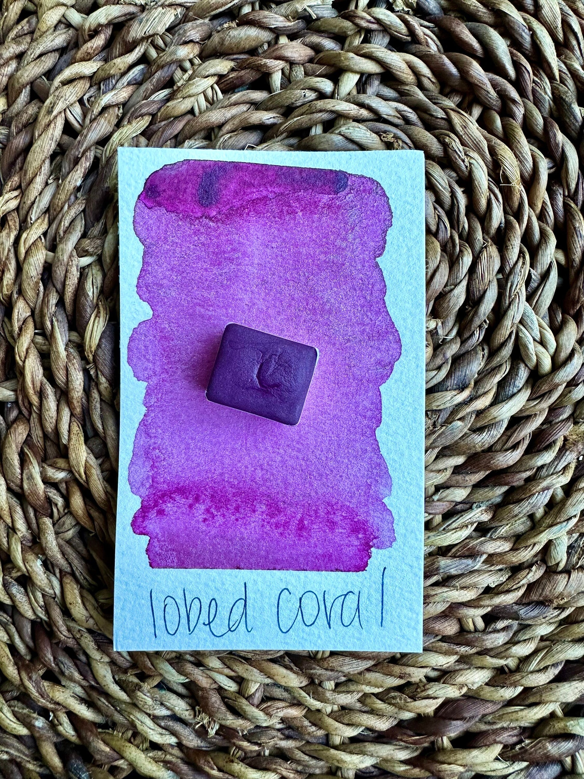Lobed Coral | SHIMMER Blend | Handmade Watercolors | Handmade Paint | Watercolors | Watercolor | Watercolor Artist