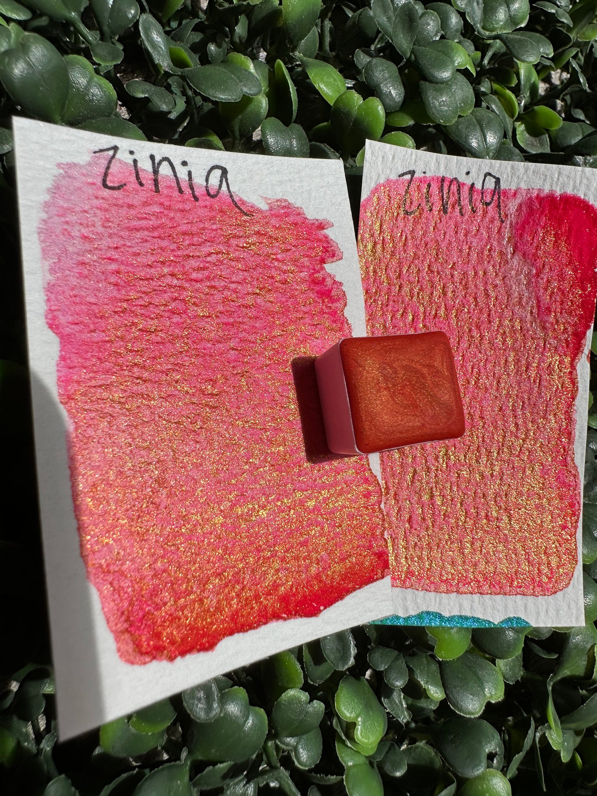 Zinia | Shimmer Matte | Handmade Watercolors | Vibrant Watercolor | Handmade Cards | Watercolor Florals | Matte Pigment | Super Pigment
