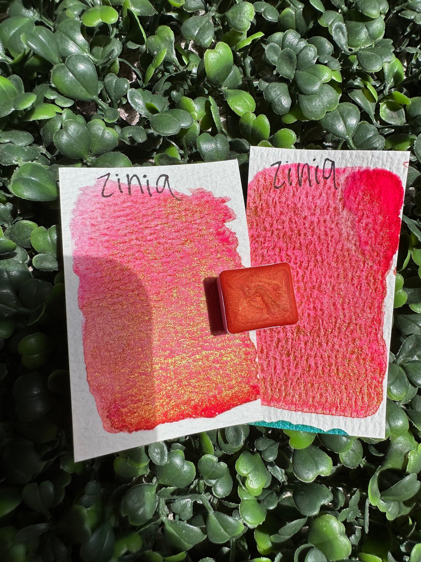 Zinia | Shimmer Matte | Handmade Watercolors | Vibrant Watercolor | Handmade Cards | Watercolor Florals | Matte Pigment | Super Pigment