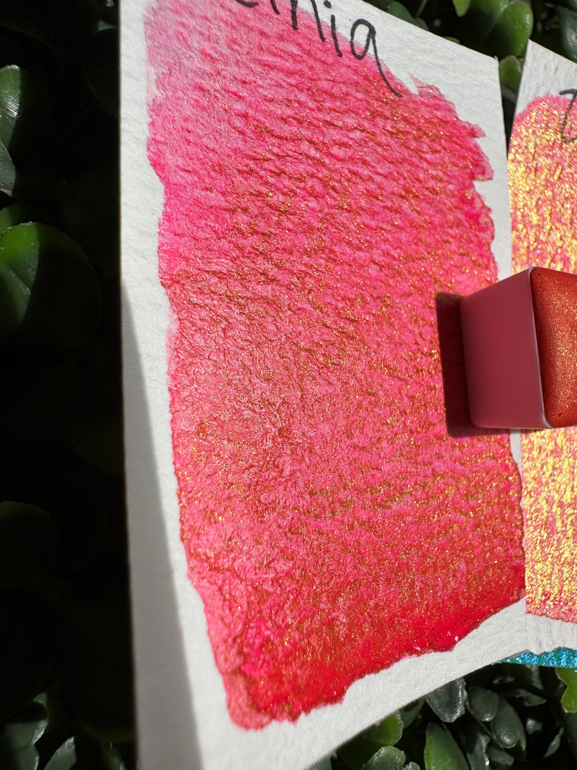 Zinia | Shimmer Matte | Handmade Watercolors | Vibrant Watercolor | Handmade Cards | Watercolor Florals | Matte Pigment | Super Pigment