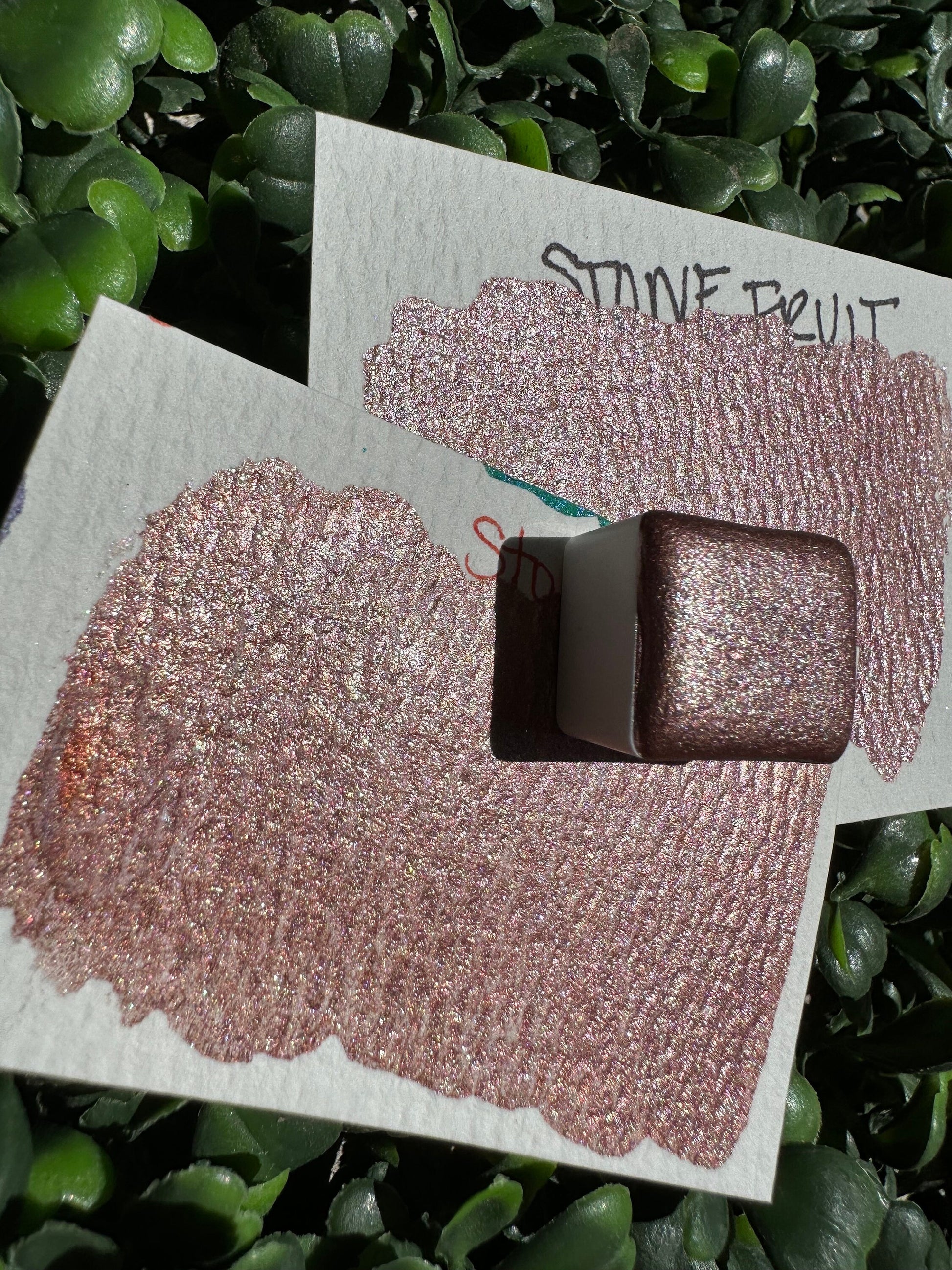 Stone Fruit | Handmade Watercolors | Handmade Paint | Watercolors | Watercolor | Watercolor Artist