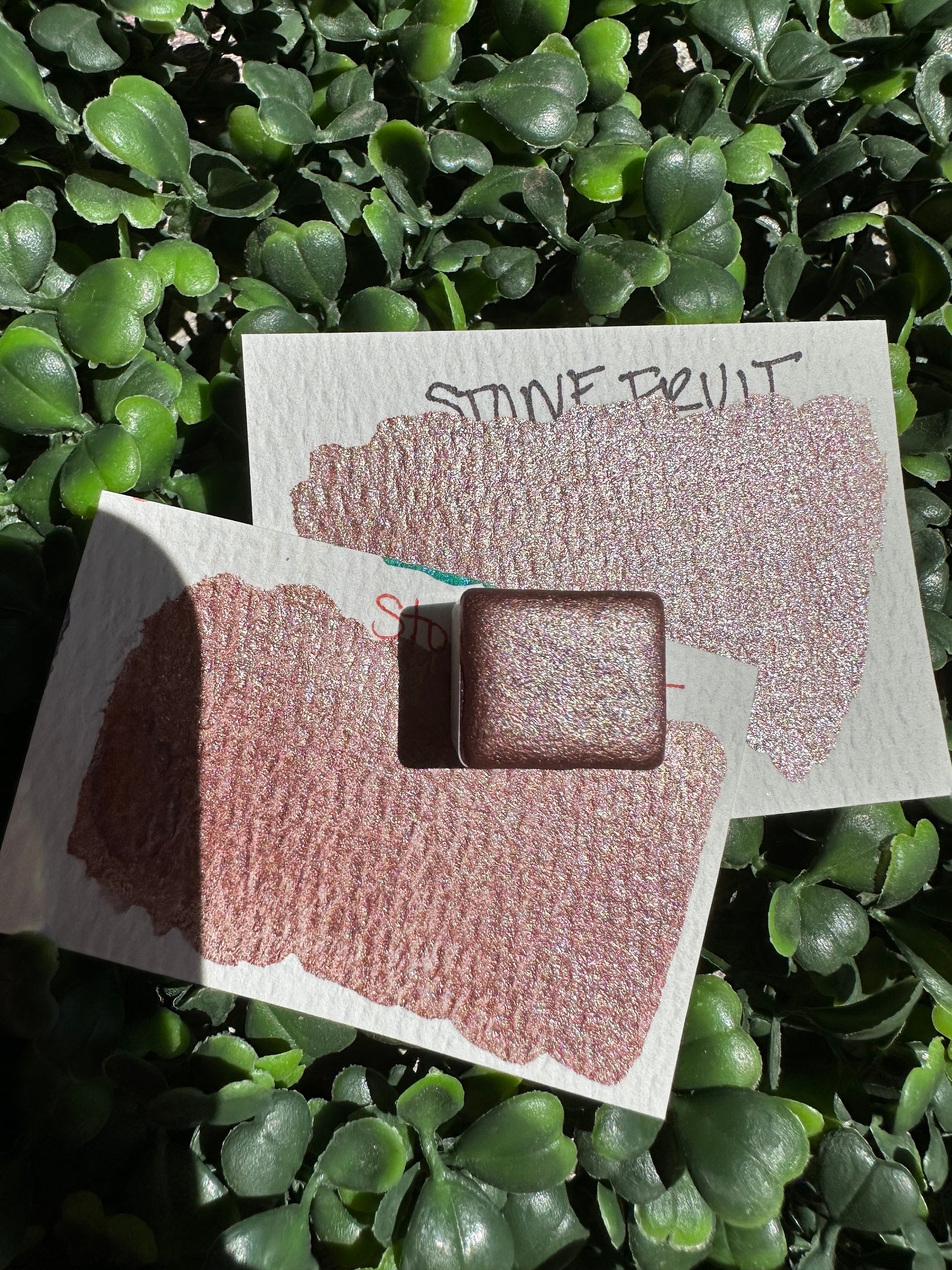 Stone Fruit | Handmade Watercolors | Handmade Paint | Watercolors | Watercolor | Watercolor Artist