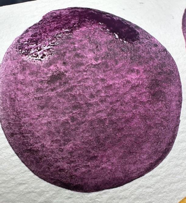 Lexi Colors November 2024 PREORDER 1-2 week ship date | Handmade Watercolors | Handmade Paint | Watercolors | Watercolor | Watercolor Artist
