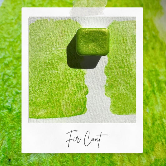 Fir Coat | Handmade Watercolors | Handmade Paint | Watercolors | Watercolor | Watercolor Artist