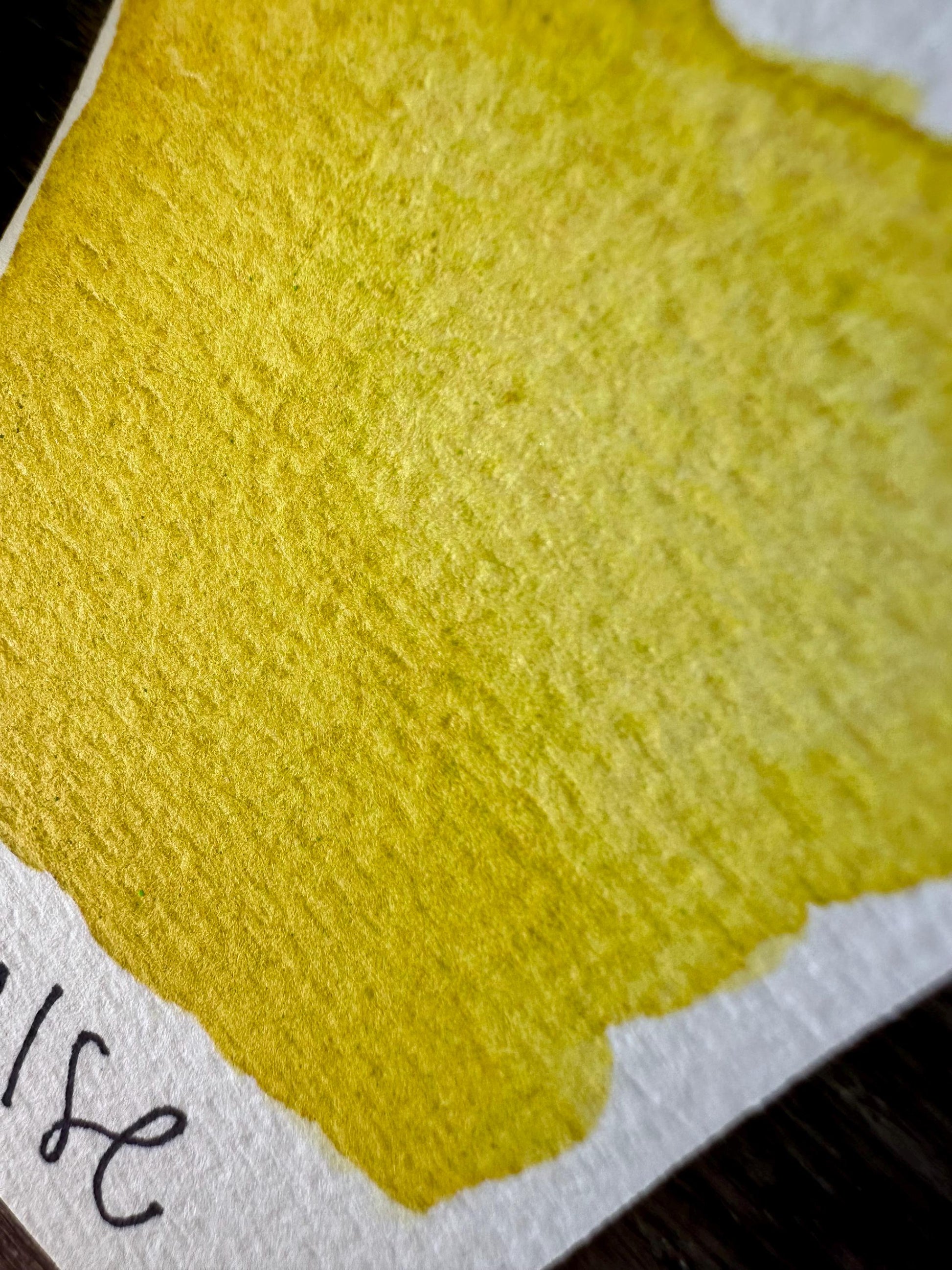 False. | Handmade Watercolors | Handmade Paint | Watercolors | Watercolor | Watercolor Artist
