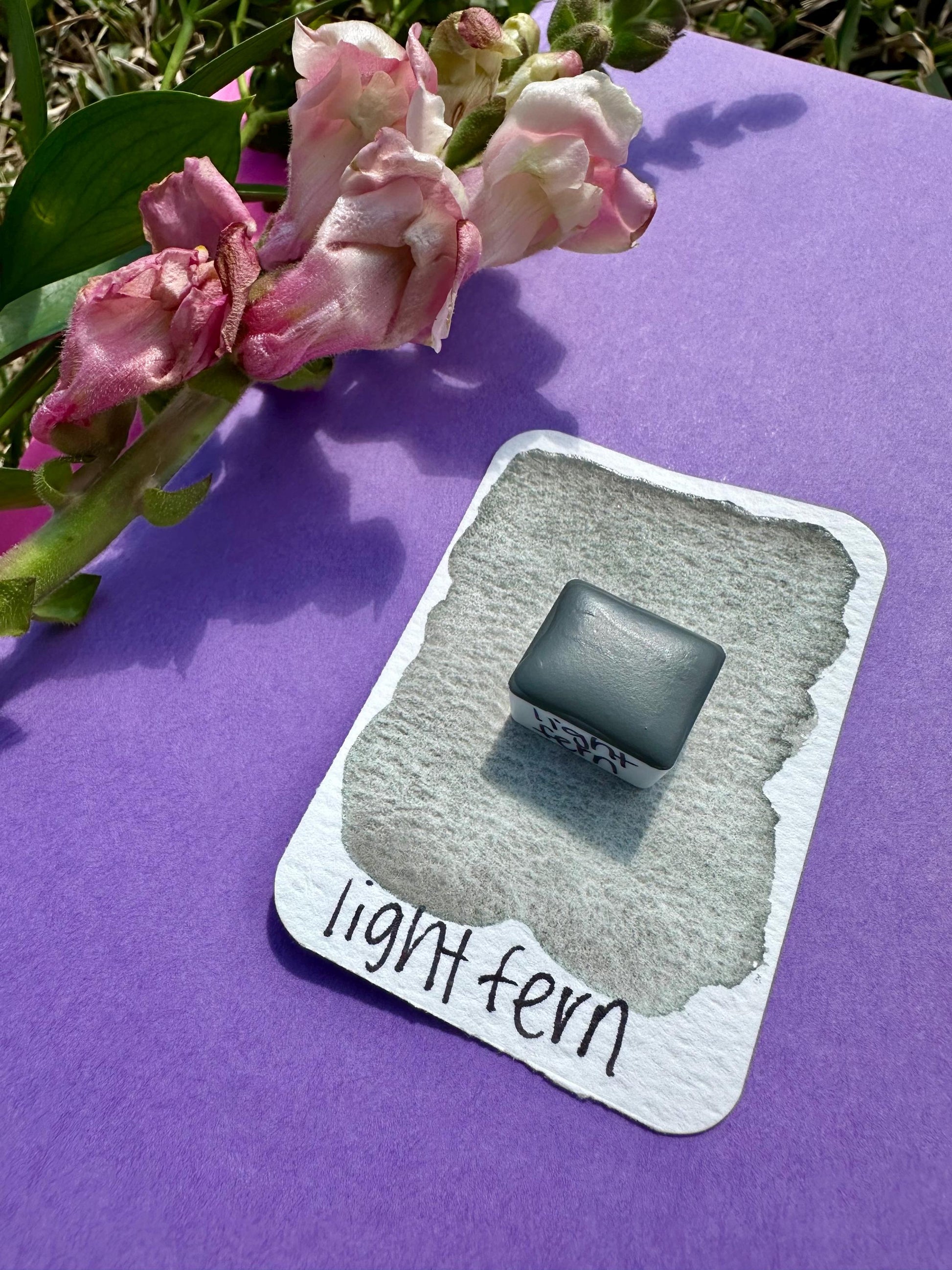 Light Fern | Handmade Watercolors | Handmade Paint | Watercolor Artist | Matte Watercolor | Boho Series
