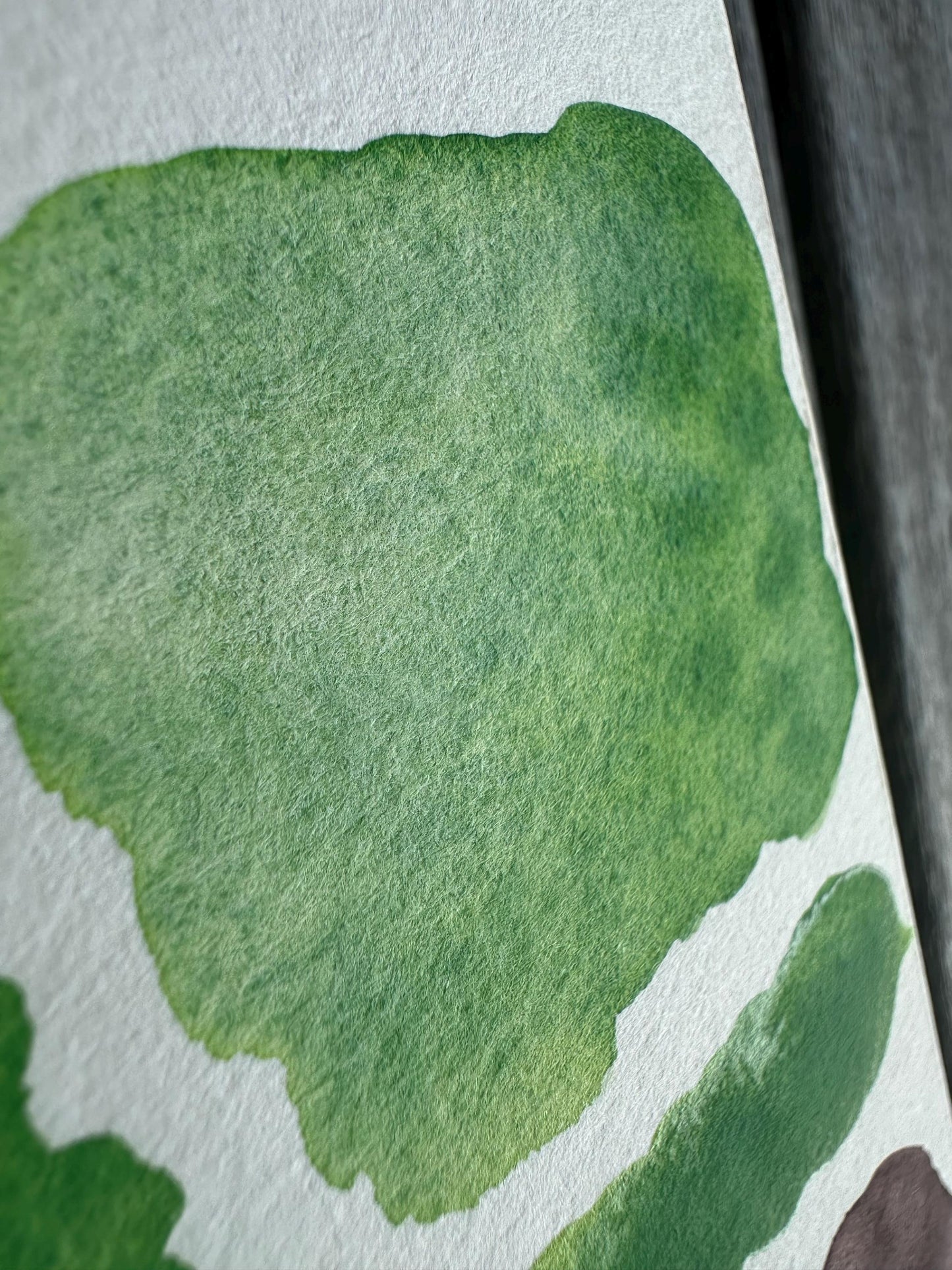 Peakaboo | Liquid Watercolor | Matte Watercolors | Handmade Watercolors | Granulating Matte | Matte Florals | Boho Series | Watercolors