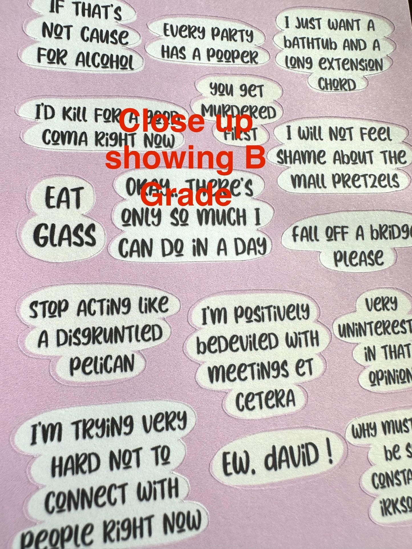 Schit-ts Creek - **B GRADE Sheet** - Embrace Your Inner Sass! Planner stickers, planner embellishments, curse words, dark humor, David Rose