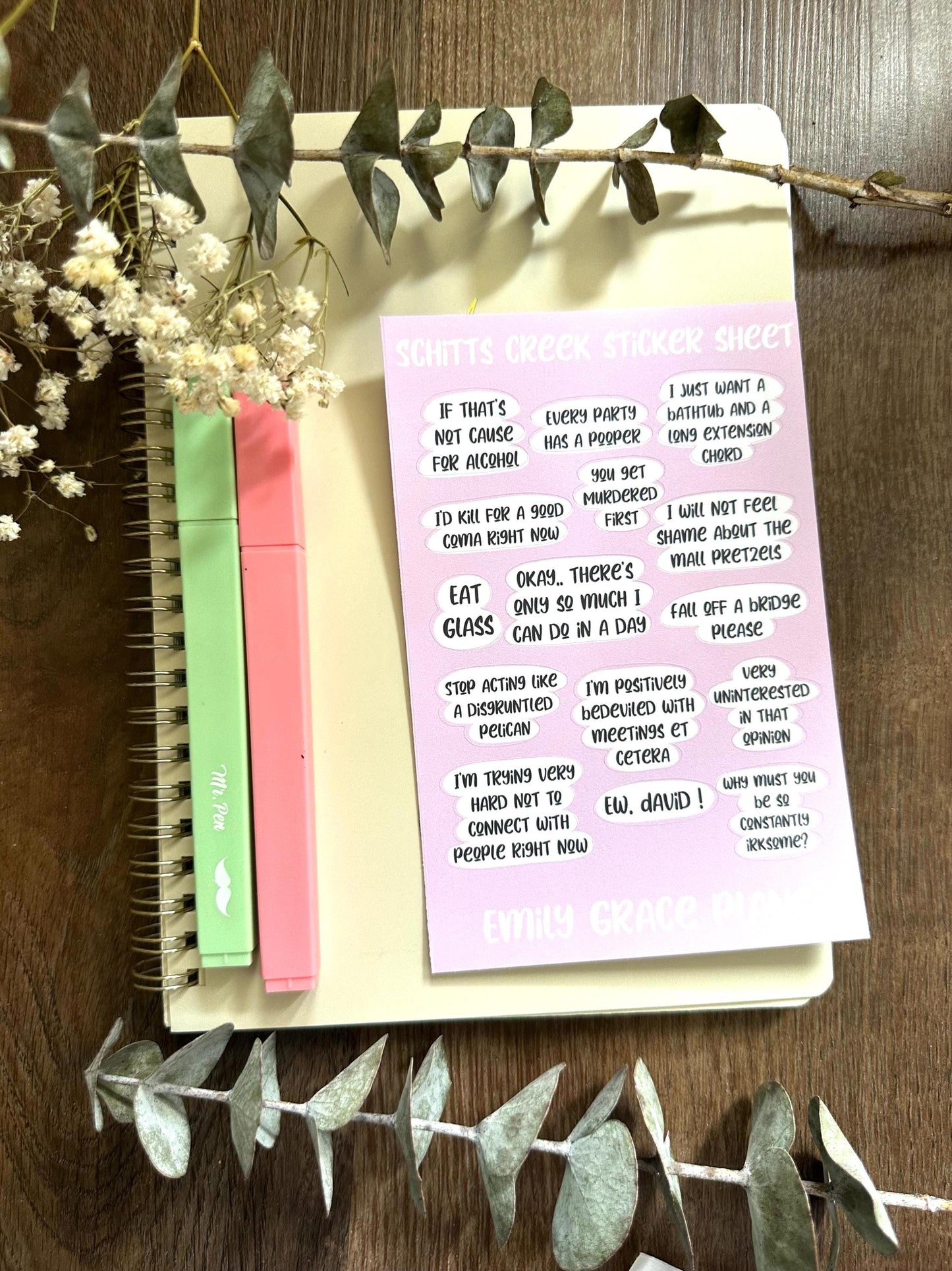 Schit-ts Creek - **B GRADE Sheet** - Embrace Your Inner Sass! Planner stickers, planner embellishments, curse words, dark humor, David Rose
