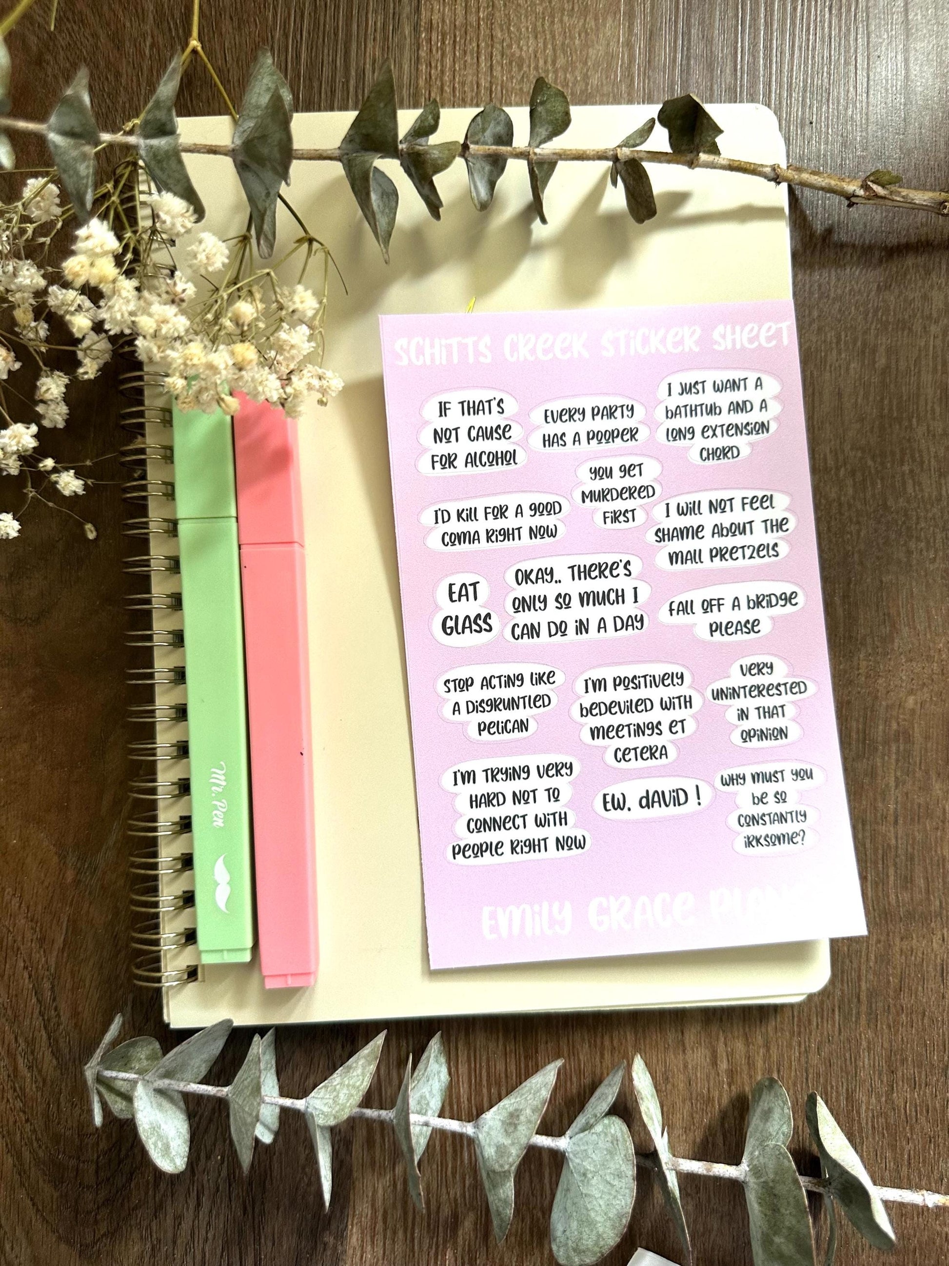 Schit-ts Creek - **B GRADE Sheet** - Embrace Your Inner Sass! Planner stickers, planner embellishments, curse words, dark humor, David Rose