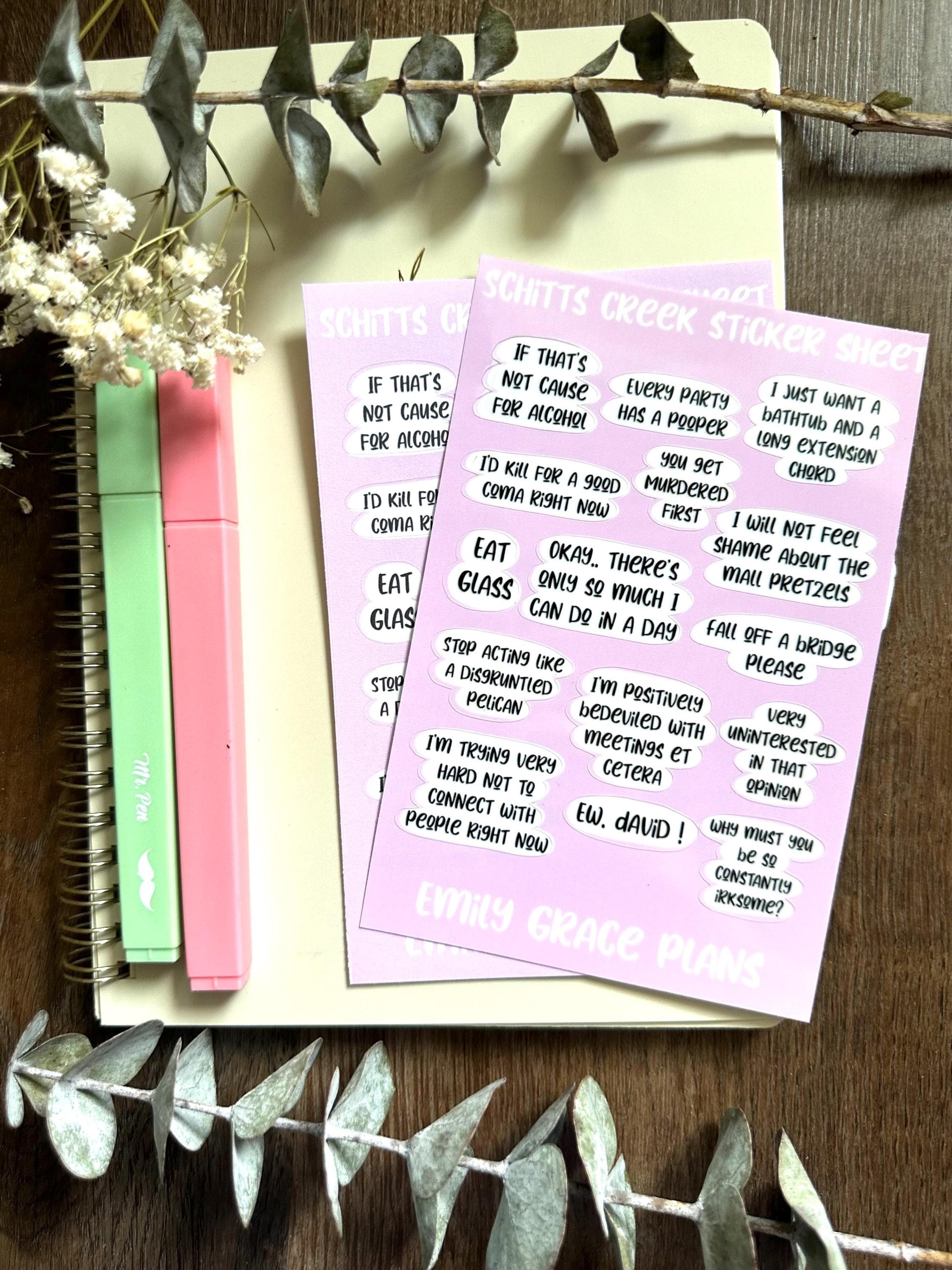 Schit-ts Creek - **B GRADE Sheet** - Embrace Your Inner Sass! Planner stickers, planner embellishments, curse words, dark humor, David Rose