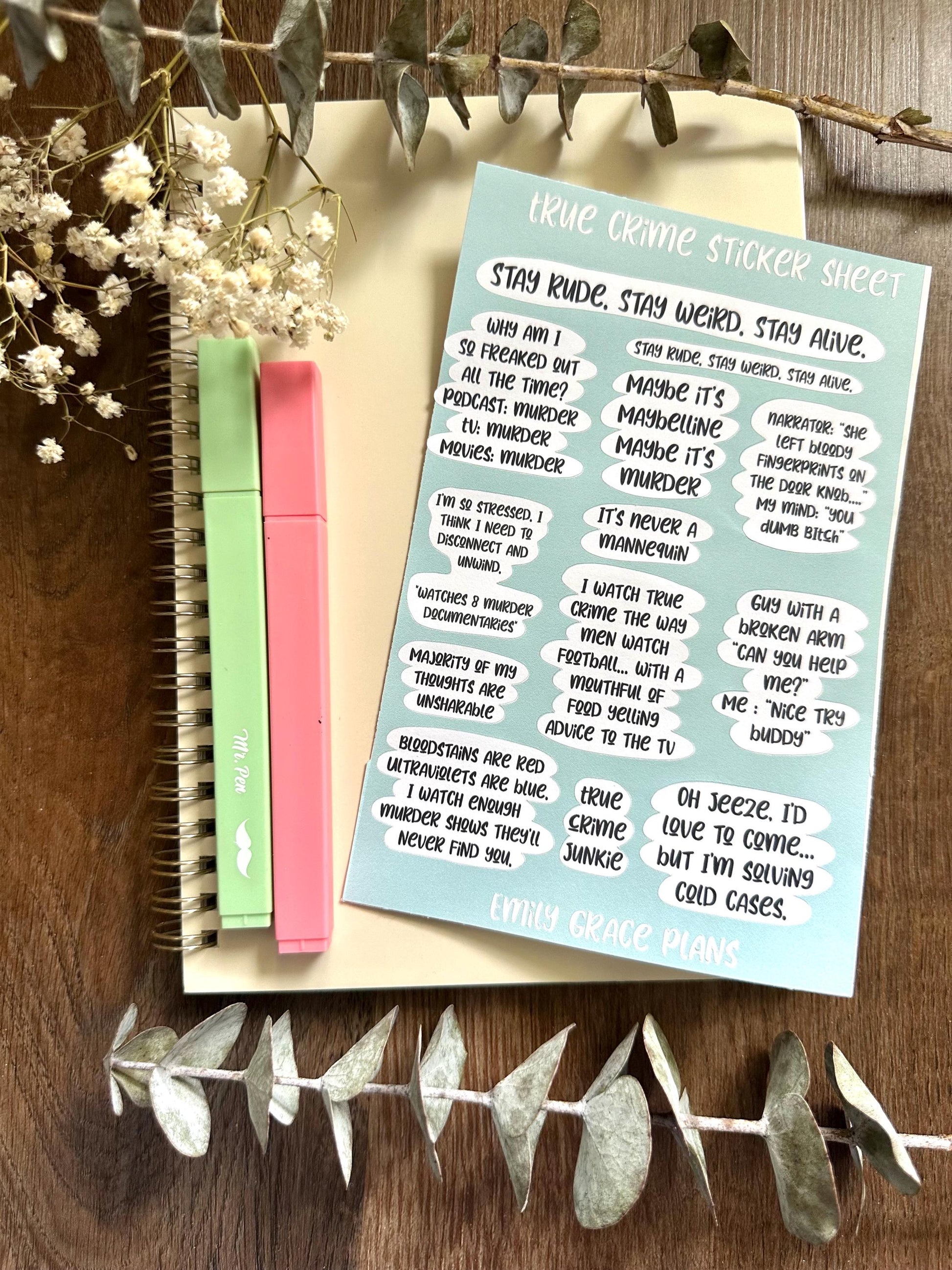 True Crime - **B GRADE Sheet** - Embrace Your Inner Sass! Planner stickers, planner embellishments, curse words, dark humor, crime Junkie