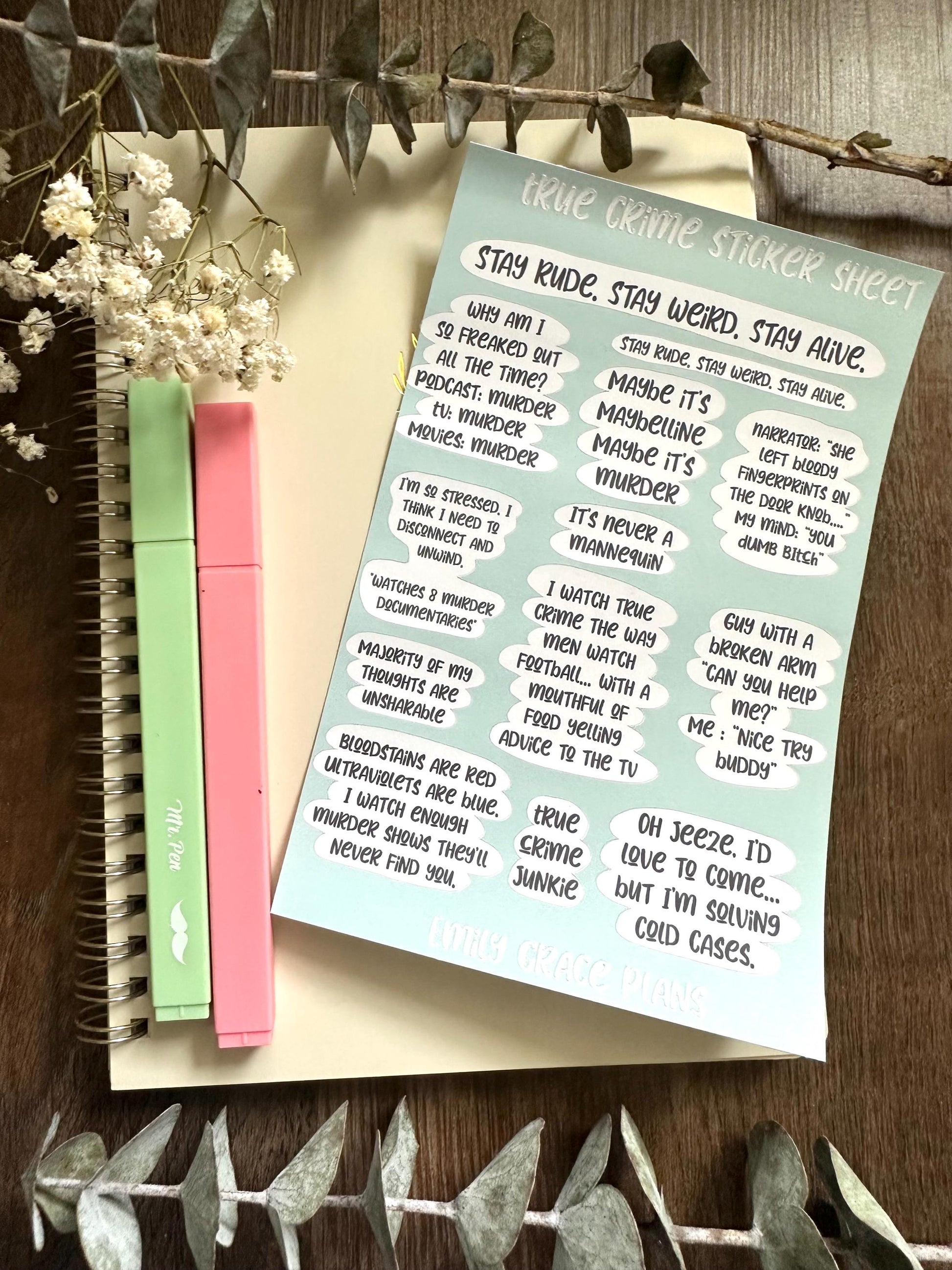 True Crime - **B GRADE Sheet** - Embrace Your Inner Sass! Planner stickers, planner embellishments, curse words, dark humor, crime Junkie