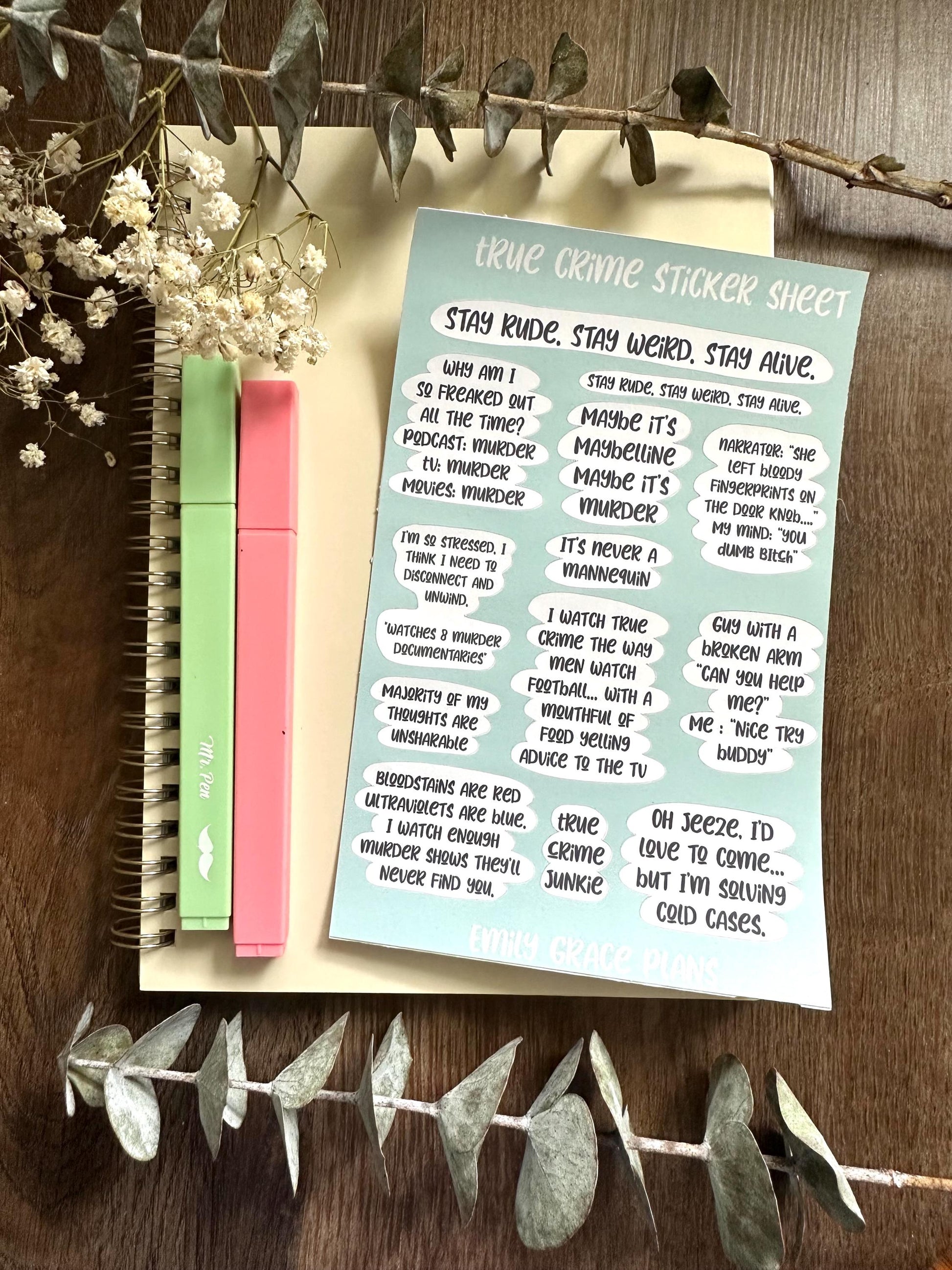 True Crime - **B GRADE Sheet** - Embrace Your Inner Sass! Planner stickers, planner embellishments, curse words, dark humor, crime Junkie