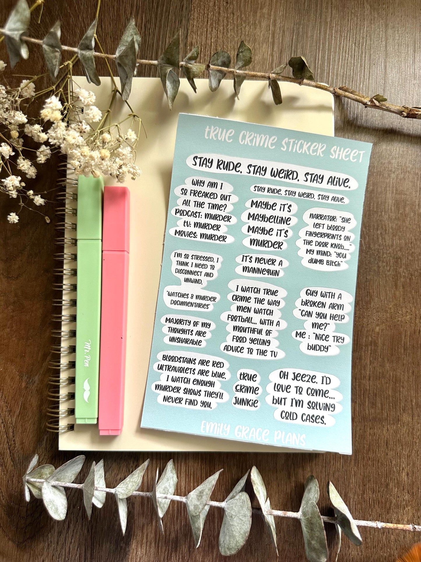 True Crime - **B GRADE Sheet** - Embrace Your Inner Sass! Planner stickers, planner embellishments, curse words, dark humor, crime Junkie