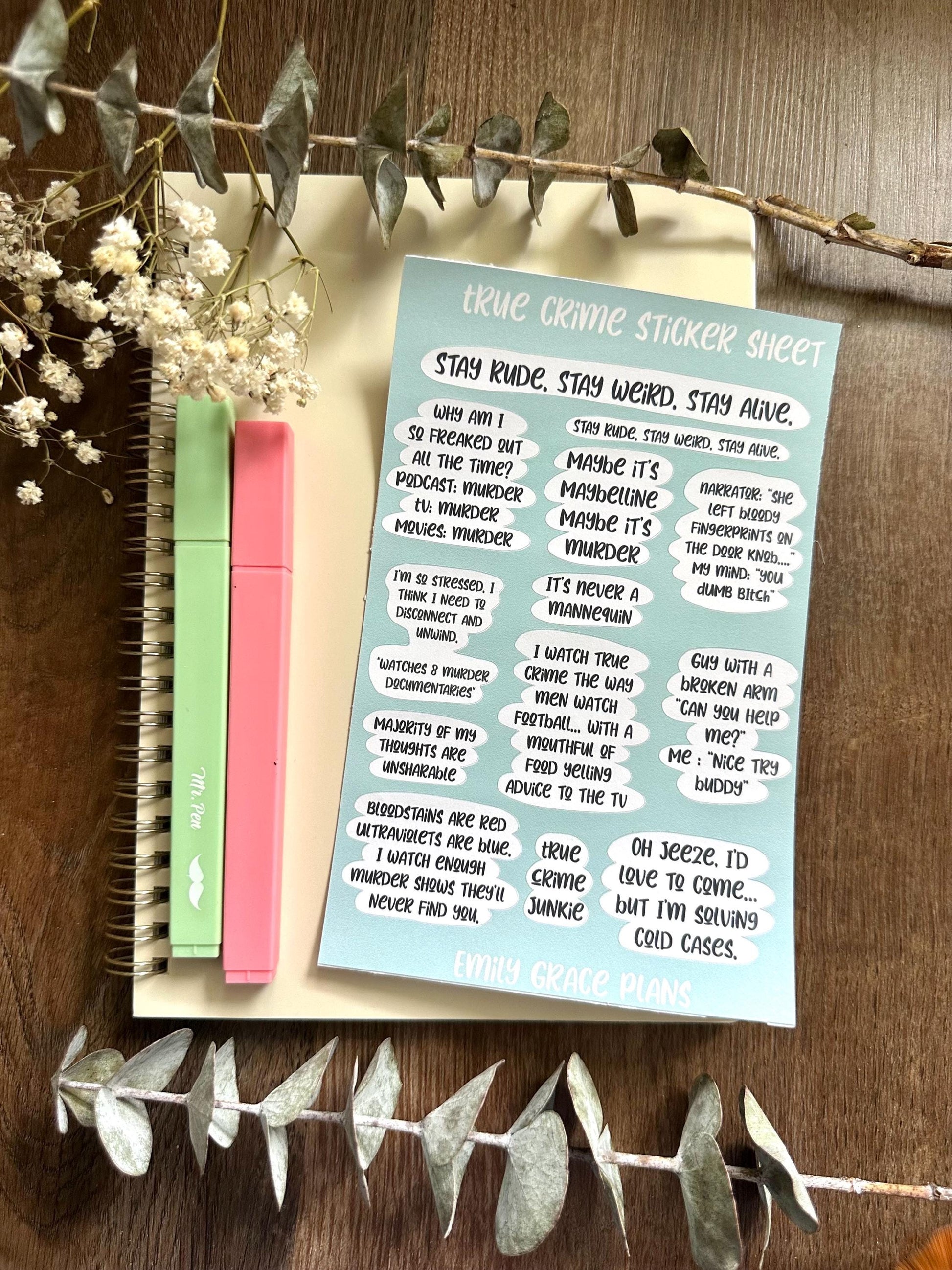 True Crime - **B GRADE Sheet** - Embrace Your Inner Sass! Planner stickers, planner embellishments, curse words, dark humor, crime Junkie