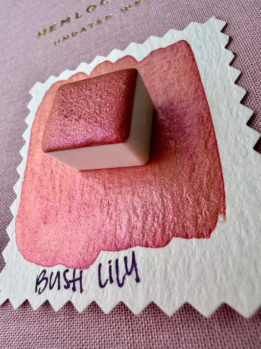 Bush Lily | Handmade Watercolors | Handmade Paint | Watercolors | Watercolor | Watercolor Artist