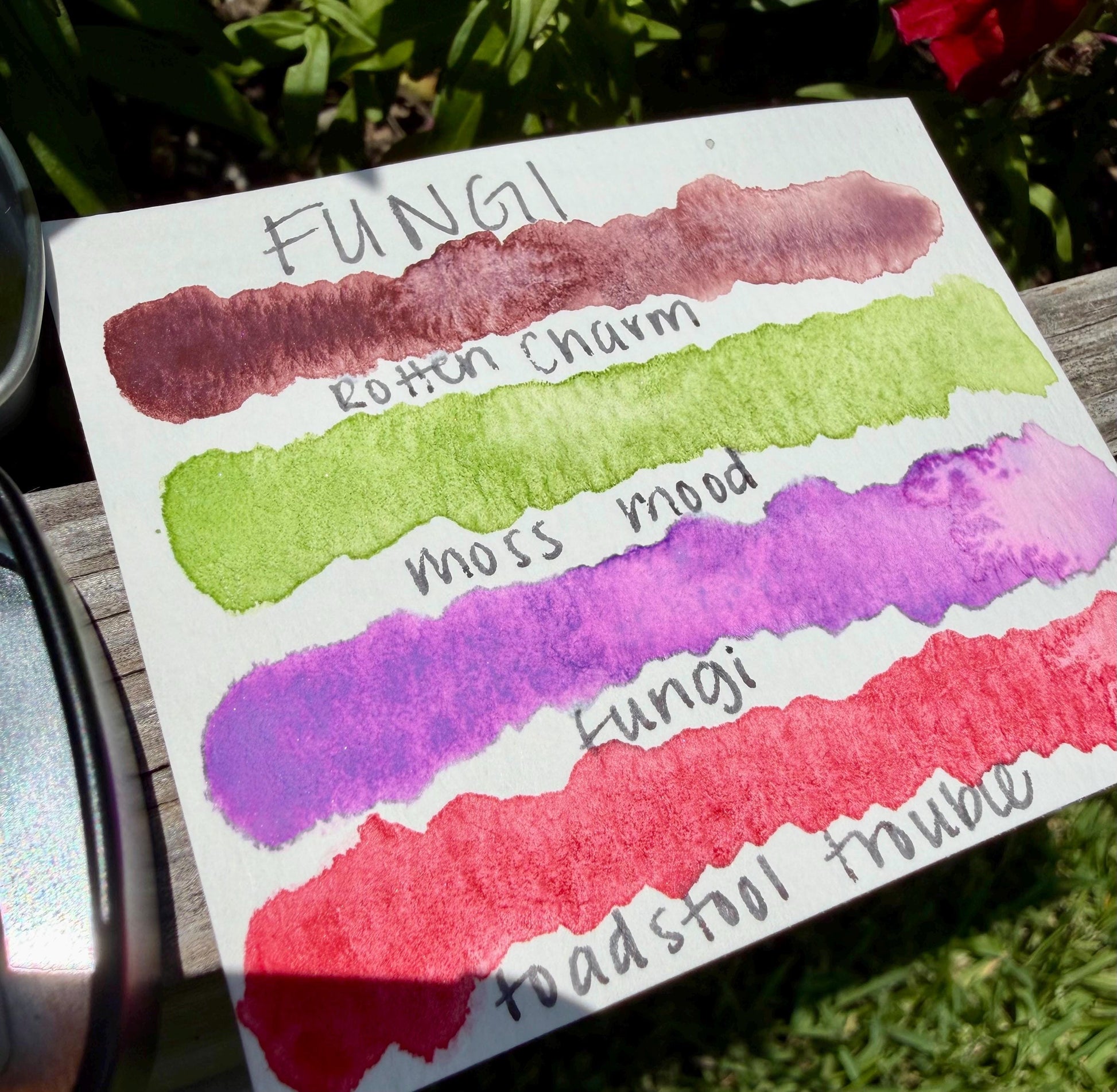 Fungi Collection| Granulating Matte Watercolor Sets | Sets OR Singles Available | Handmade Paints