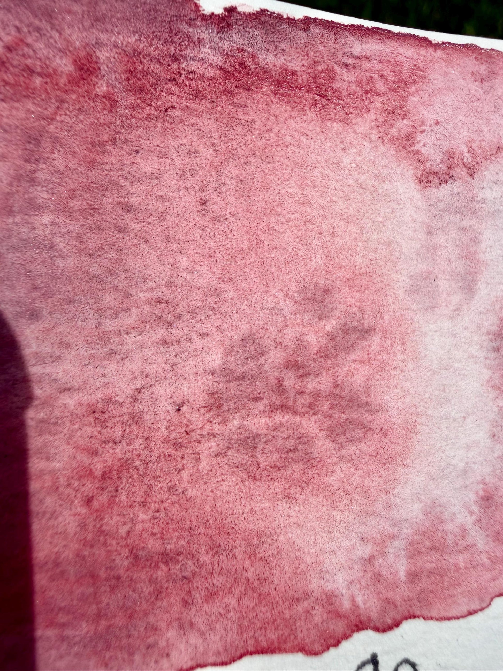 Rhubarb | Handmade Watercolors | GRANULATING | Handmade Cards | Watercolor Florals | Matte Pigment | Half Pans