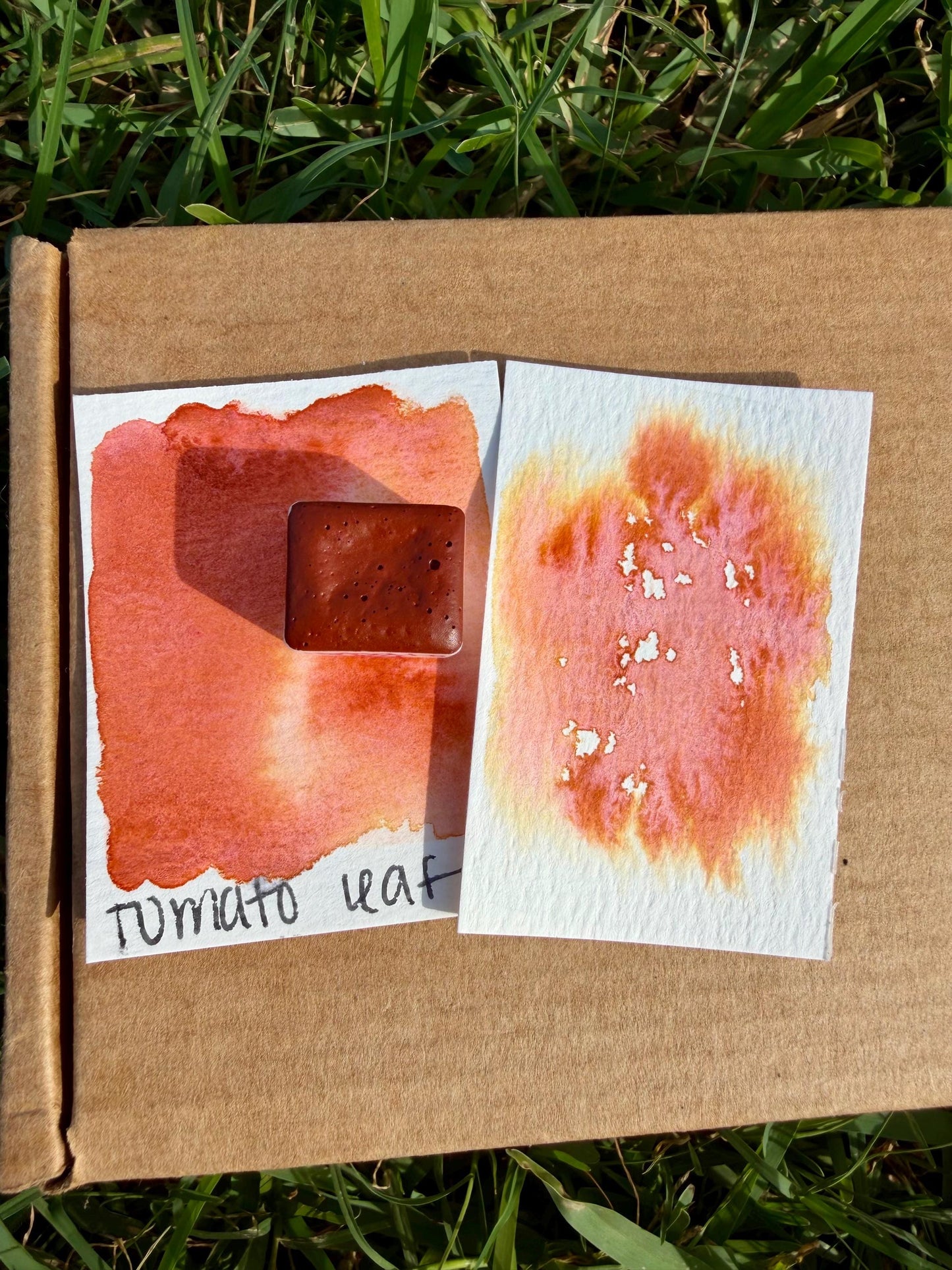 Tomato Leaf | Handmade Watercolors | GRANULATING | Handmade Cards | Watercolor Florals | Matte Pigment | Half Pans