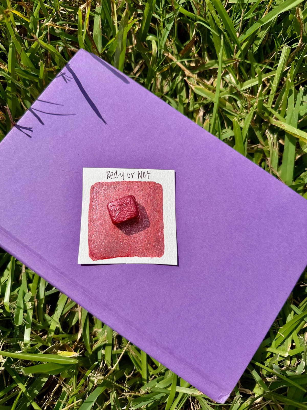 Red-Y Or Not | Watercolors | LIMITEDCOLOR | Handmade Watercolors | Handmade Paint | Artist Watercolor |