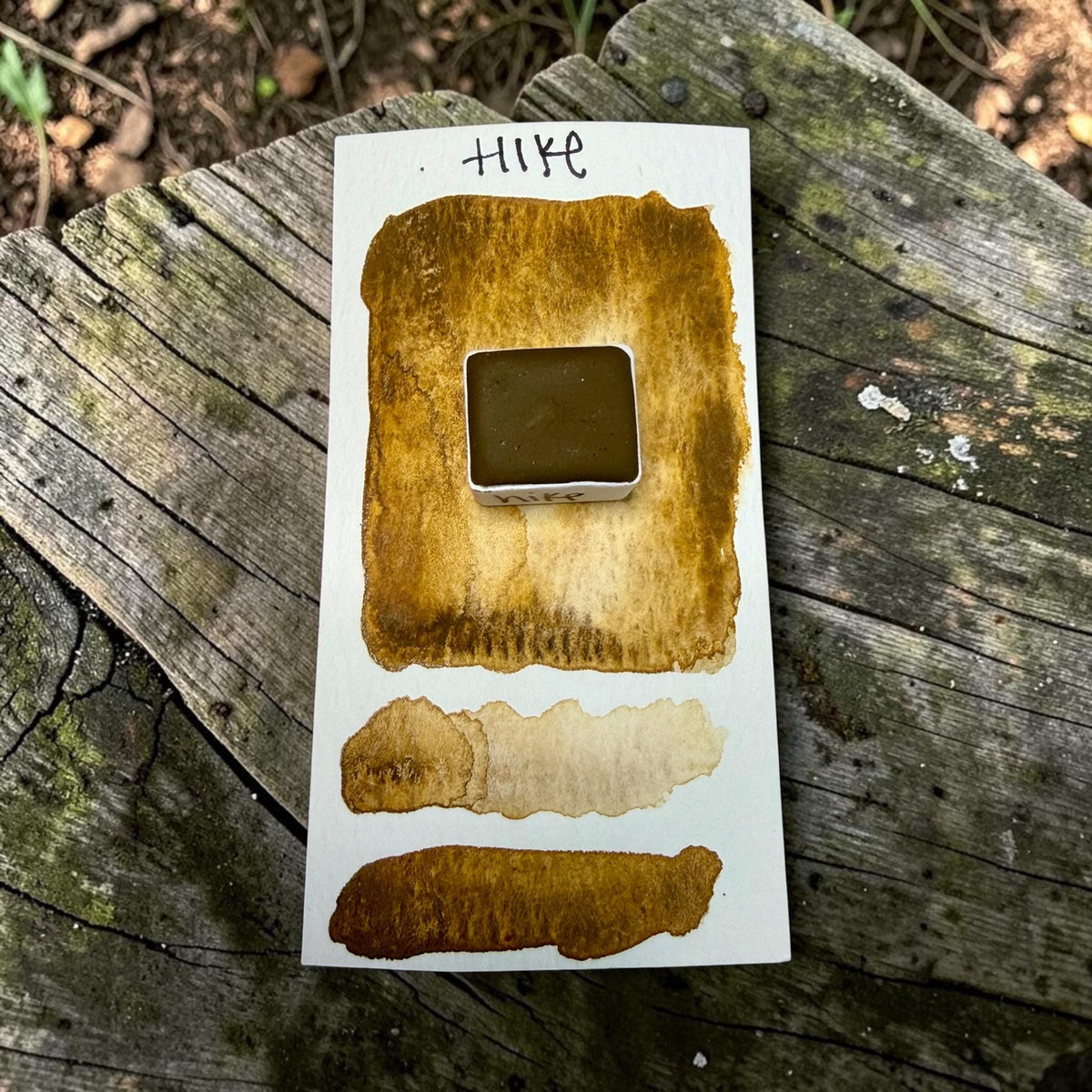 Hike | Handmade Watercolors | GRANULATING | Handmade Cards | Watercolor Florals | Matte Pigment | Half Pans